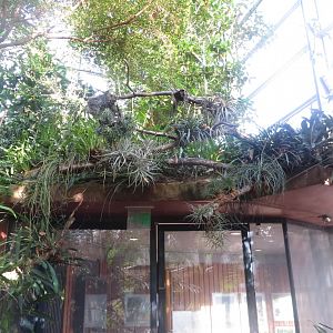 Amazonienhaus - exit from inside 011218