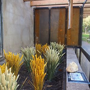 Future European hamster exhibit (Oct 13th, 2018)