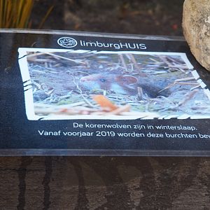 Sign European hamsters in hibernation (Oct 13th, 2018)