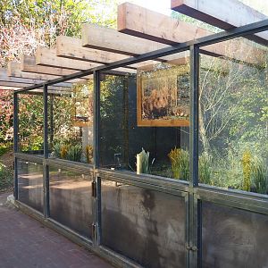 European hamster building (Oct 13th, 2018)