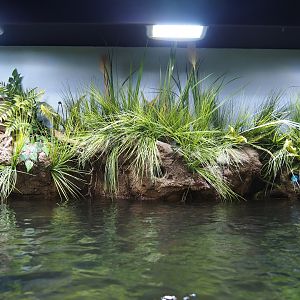 Creek bank scenery recreation (Oct 13th, 2018)