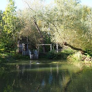 Pond in the park (Oct 13th, 2018)