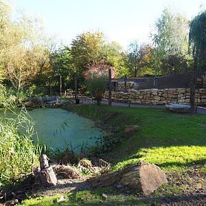 Park view near the Limburg House (Oct 13th, 2018)