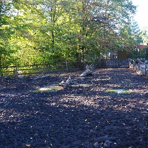 Livar pig pen (Oct 13th, 2018)