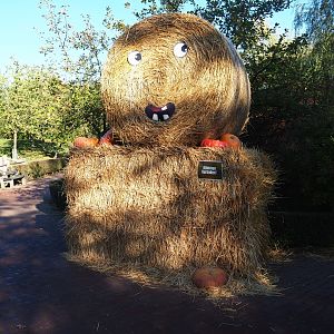 Fall decoration (Oct 13th, 2018)