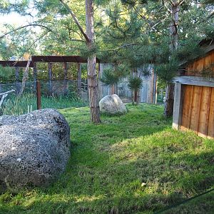 Hermann's tortoise outdoor yard (Oct 13th, 2018)