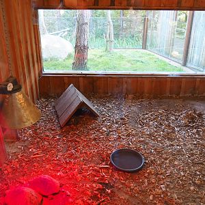 Hermann's tortoise indoor housing (Oct 13th, 2018)