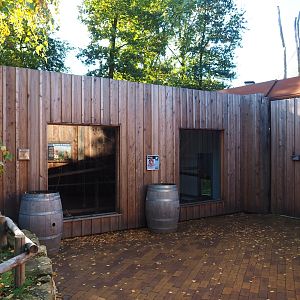 Barbary macaque holding house (Oct 13th, 2018)