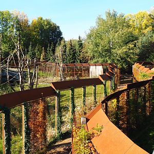 Pathway in between Barbary macaque and Eurasian lynx exhibits (Oct 13th, 2018)