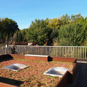 Eurasian lynx and Barbary macaque viewing platform (Oct 13th, 2018)