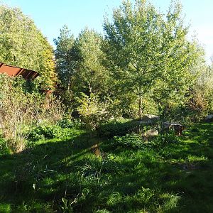 Eurasian lynx exhibit (Oct 13th, 2018)