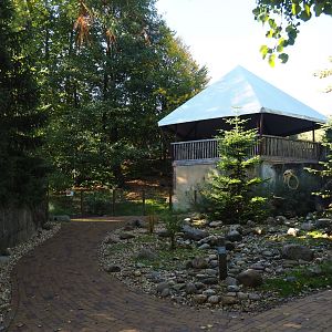 Wolverine exhibit viewing areas (Oct 13th, 2013)
