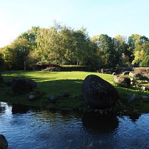 Musk ox exhibit (Oct 13th, 2018)
