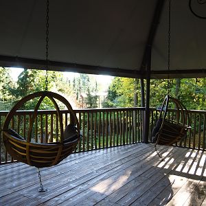 Wolverine viewing area (Oct 13th, 2018)