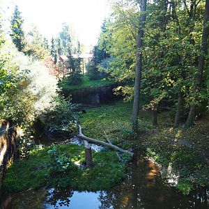 Wolverine exhibit (Oct 13th, 2018)