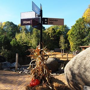 Road signs and fall decoration (Oct 13th, 2018)