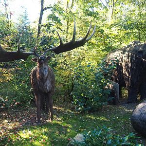 Models of Irish elk (Megaloceros giganteus) and woolly mammoths (Mammuthus primigenius), Oct 13th, 2018
