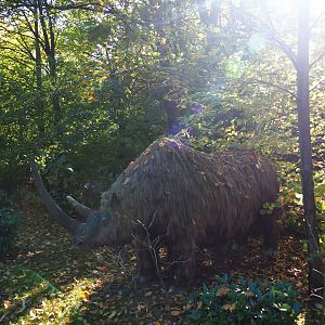 Model of woolly rhinoceros (Coelodonta antiquitatis), Oct 13th, 2018