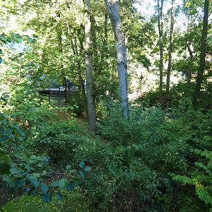 Wolverine exhibit (Oct 13th, 2018)