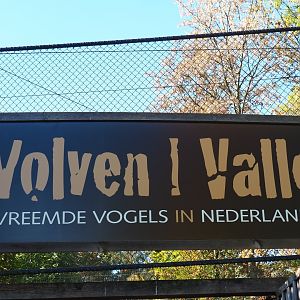 Sign Wolf valley - Foreign birds in the Netherlands (Oct 13th, 2018)