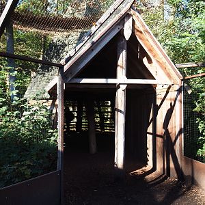 European eagle-owl - Common raven - Black stork aviary viewing hut (Oct 13th, 2018)