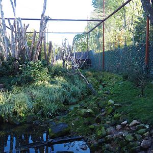 Alien species aviary (Oct 13th, 2018)