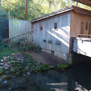 Alien species aviary parrot house (Oct 13th, 2018)