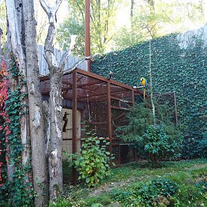 Alien species aviary bird house and separation aviary (Oct 13th, 2018)