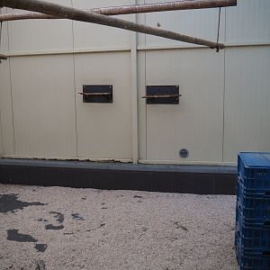 Alien species aviary indoor housing (Oct 13th, 2018)