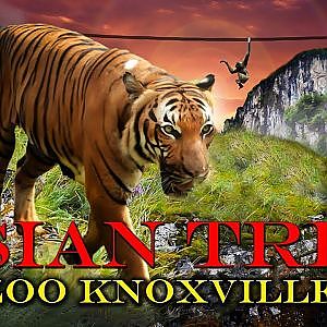 The New! Must See Asian Trek