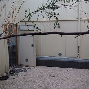 Australian birds indoor housing (Oct 13th, 2018)