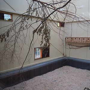 Australian birds indoor housing (Oct 13th, 2018)