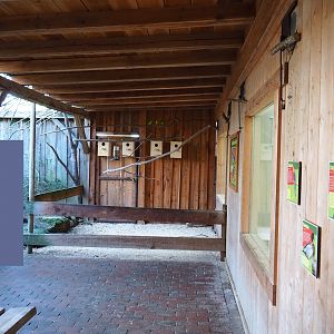 Australian aviary - Indoor housing viewing area (Oct 13th, 2018)