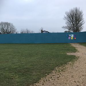 Viewing window for new tiger enclosure