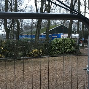 Demolition of old study centre for possible rhino