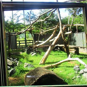 Rock Wallaby Enclosure