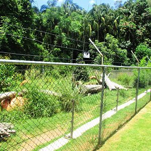 African Hunting Dog Enclosure