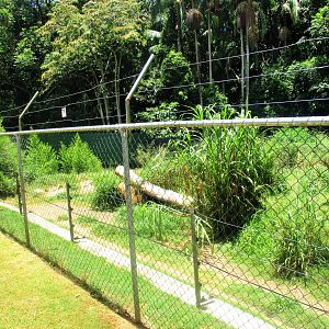 African Hunting Dog Enclosure