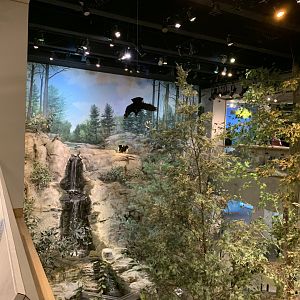 Mountains to the Sea Diorama: Upper Level View
