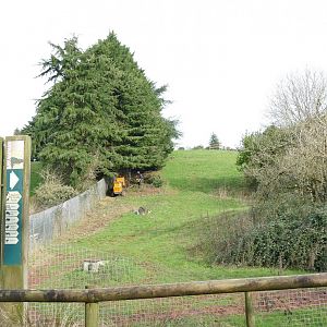 Zebra enclosure, January 2019