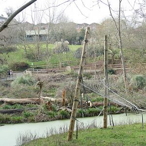 View across the orang islands, January 2019