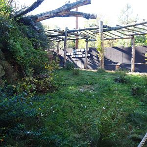 Pathway towards Taiga aviary viewing area (Oct 13th, 2018)