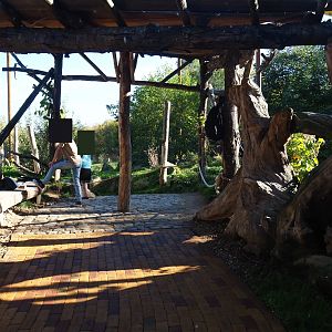 Taiga aviary viewing area (Oct 13th, 2018)