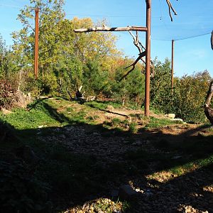 Taiga aviary (Oct 13th, 2018)