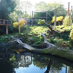 Taiga aviary (Oct 13th, 2018)