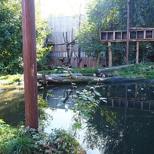 Taiga aviary (Oct 13th, 2018)