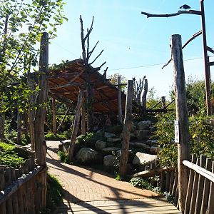 Taiga aviary viewing area (Oct 13th, 2018)