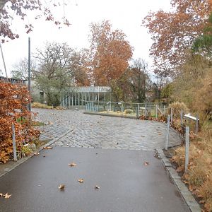 View towards Meerkat enclosure 031218