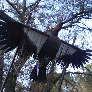 Extremely realistic California condor