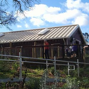 Barnyard Experience (New, opened May 2018)